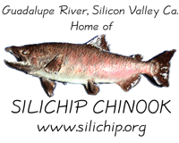 Salmon and Steelhead Restoration Group